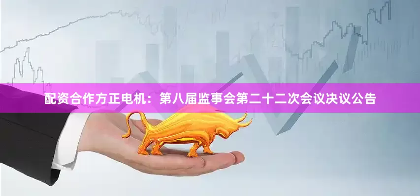 配资合作方正电机：第八届监事会第二十二次会议决议公告