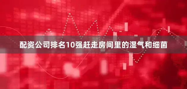配资公司排名10强赶走房间里的湿气和细菌