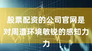股票配资的公司官网是对周遭环境敏锐的感知力
